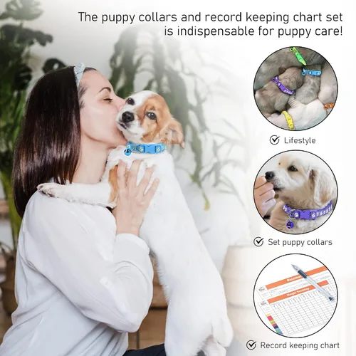 Vista 8 de GAMUDA 12 collares reflectantes para identificación de cachorros, juego de nailon suave, bandas de arena con hebilla ajustable con 2 gráficos