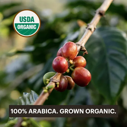 Vista 6 de G GRANA Cápsulas de café, compatibles con Nespresso OriginalLine, 60 unidades, expreso tostado medio y oscuro, café especial de fuente única 100%