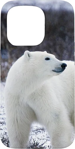 Vista 14 de Polar Bears Animal Nature Case for iPhone 17