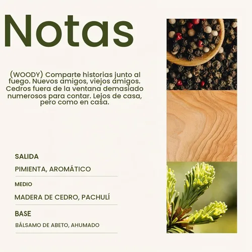 Vista 4 de LA JOLIE MUSE Starlit - Vela perfumada de abeto dorado, pino, cedro y bálsamo de abeto, 75 horas de combustión, cera de soja natural, vela