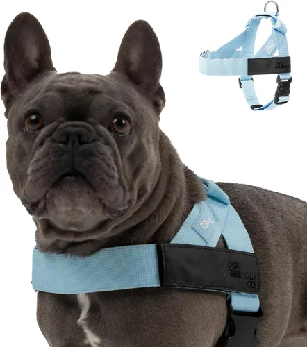 Vista 20 de Arnés para perro Dog Friendly Co Correas resistentes a rozaduras, cuello y pecho ajustables, y anillo en D resistente Resistente, cómodo, fácil