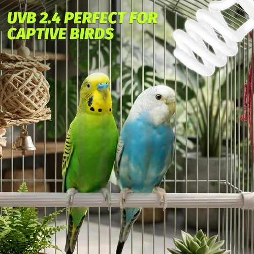 Vista 6 de GlowUp Luz de pájaro UVB 2.4 23W, luz UVA UVB E26 jaula de pájaros