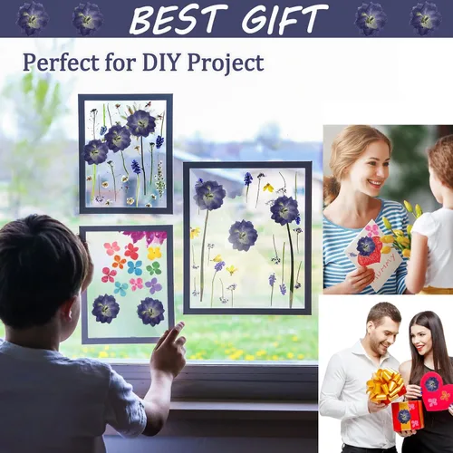 Vista 4 de Flores secas prensadas moradas grandes para adornos de manualidades de resina, 60 flores naturales prensadas para joyería de resina, caja