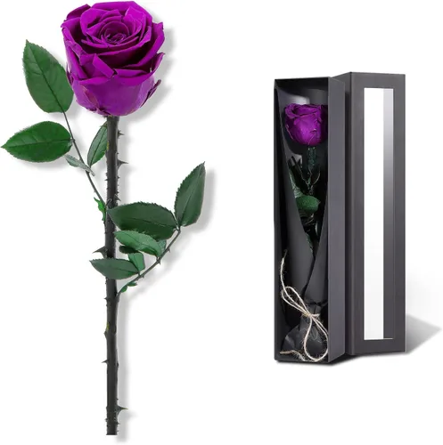 Vista 9 de Flores para Entrega Prime, Rosas Preservadas Regalos de Flores para Mujeres, Rosas Reales Regalos de Rosa Individual para Ella, Regalos