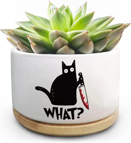 Vista 8 de Maceta Divertida para Plantas Suculentas, Maceta Pequeña para Plantas de Interior, Lindas Macetas de Cerámica para Cactus con Drenaje, Decoración