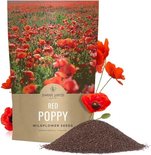 Vista 11 de Semillas de amapola roja - Paquete grande de 1 onza - Más de 200,000 semillas de flores