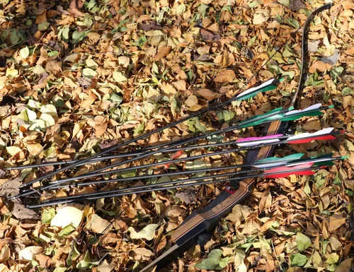 Vista 6 de LWANO Flechas de caza de carbono de 31 pulgadas, flechas de práctica con plumas de pavo de 5 pulgadas, 500 para arco recurvo y arco compuesto