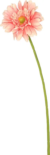 Vista 7 de Vickerman Tallo de margarita de gerbera amarilla artificial de 21 pulgadas, 6 por bolsa Amarillo