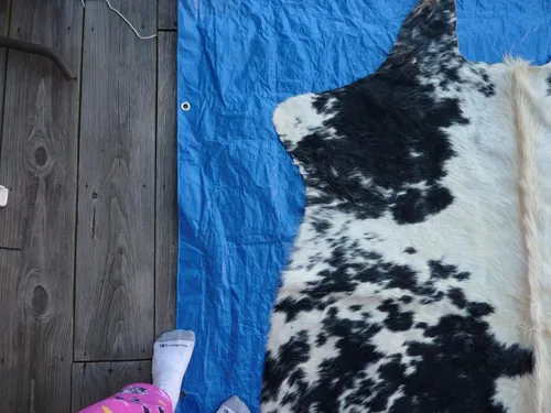 Vista 2 de SAFAVIEH Cow Hide Collection - Alfombra decorativa, 4 pies 7 pulgadas x 5 pies 8 pulgadas, color blanco y negro, hecho a mano, rústico y auténtico
