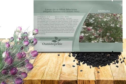 Vista 8 de Outsidepride Jewels Indigo Nigella Seeds - 1000 Pcs Semillas de flores anuales para plantar con flores vibrantes y follaje lacio tipo helecho