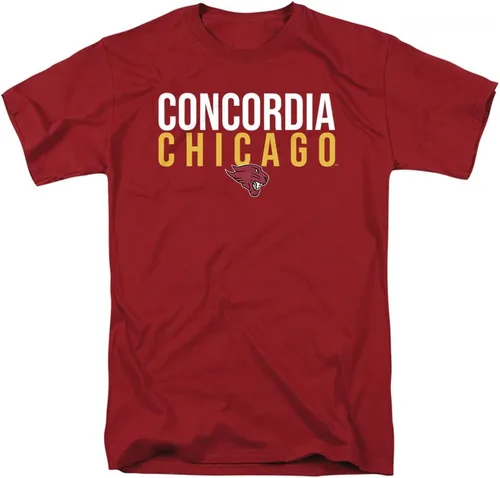 Vista 25 de Colección de camisetas para adultos apiladas colegiales 1 Universidad Estatal de Albany