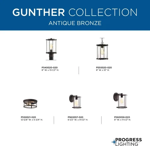 Vista 5 de Progress Lighting P560057-020 Gunther Outdoor, Bronce 9.5x6.5x6.5