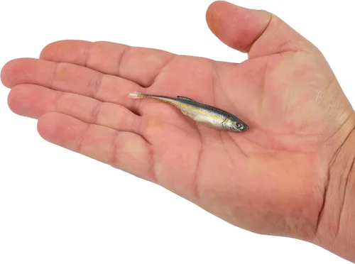 Vista 4 de Berkley PowerBait Drip Minnow Fishing Soft Bait