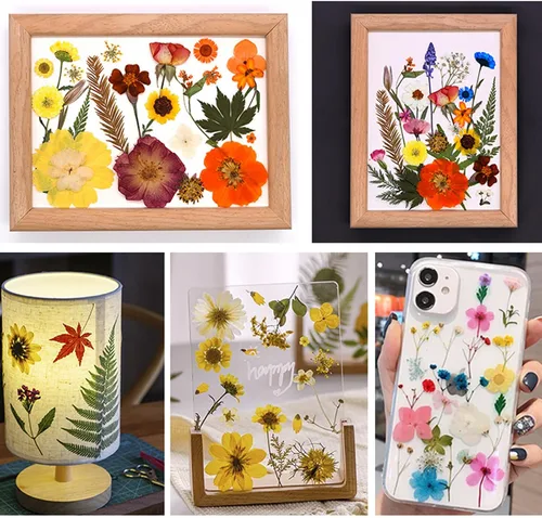 Vista 7 de Kit de 140 hojas de flores secas prensadas para moldes de resina y Blanco Amarillo 140pcs