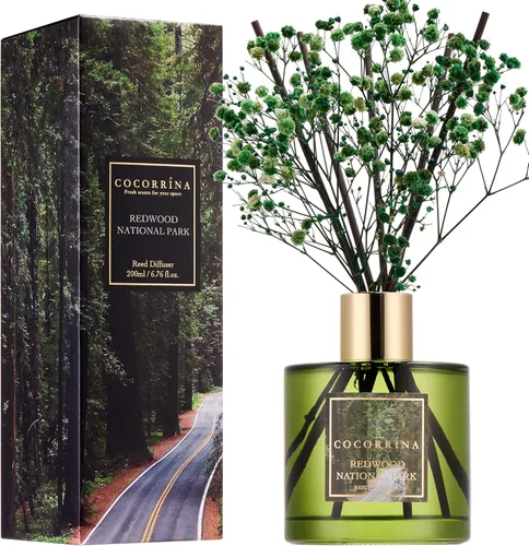 Vista 17 de Difusor de Varillas Cocorrína - Difusor Aromatizante con Aroma de Arroyo de Bambú con 8 Varillas, Difusor de Fragancia para Hogar, Decoración