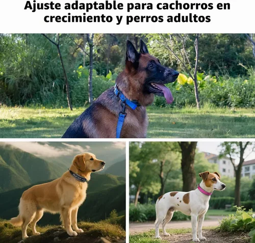Vista 7 de Collar de perro personalizado, nombre bordado y número de teléfono, collar de nailon reflectante personalizado para mascotas, ajustable