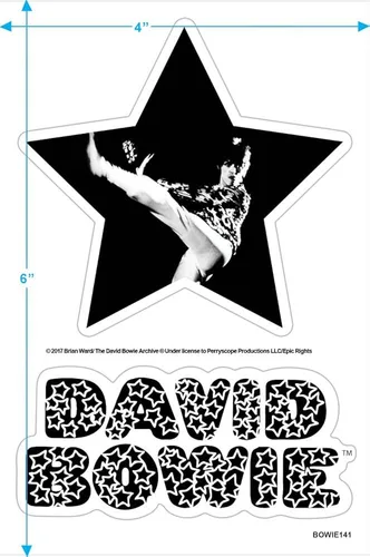 Vista 3 de David Bowie The Man Who Sold The World Album T Shirt & Stickers