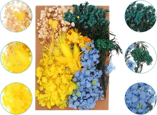 Vista 3 de PATIKIL Flores prensadas para manualidades, flores secas a granel, flores prensadas naturales, hojas para resina, jabón, vela, álbumes de recortes
