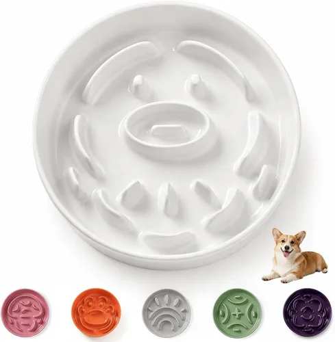 Vista 23 de Cuenco elevado para perros de alimentación lenta, 0.8 tazas de cerámica elevado con soporte inoxidable, cuenco elevado para perros de 6.3 pulgadas
