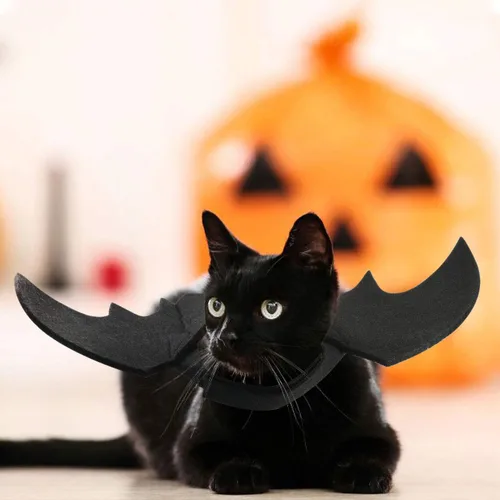 Vista 6 de Rypet - Disfraz de murciélago para perro, disfraz de mascota de Halloween, alas de murciélago para gatos y perros, XS