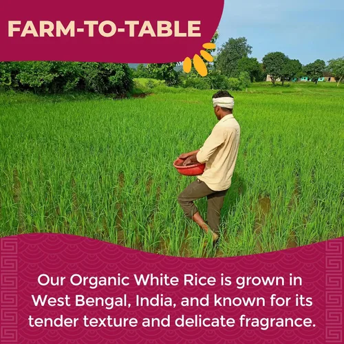Vista 7 de LOTUS FOODS Arroz blanco orgánico de cocción rápida, 15 onzas