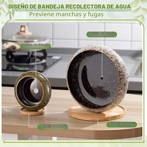 Vista 4 de 5 Piezas Macetas de Cerámica Redondas Grandes y Poco Profundas para Suculentas de 7.3'' y 4'' con Orificio de Drenaje Maceta de Bonsái Poco Profunda