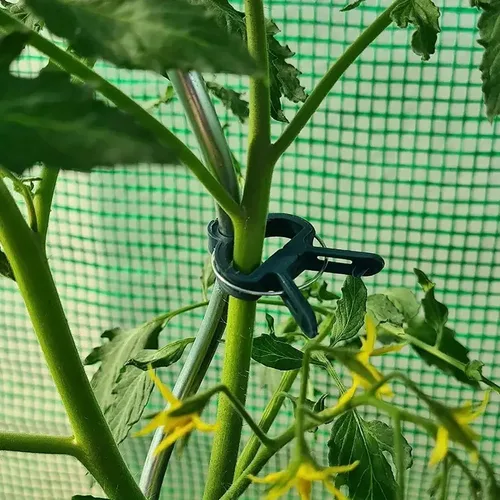Vista 3 de 20 piezas de clips suaves para plantas y flores para apoyar tallos