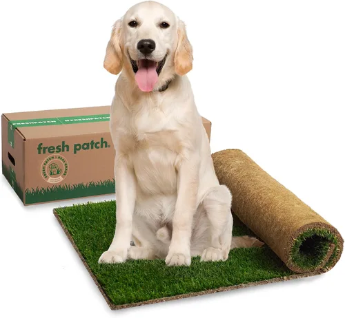 Vista 12 de Fresh Patch Mini parche de césped real para perros, gatos y mascotas pequeñas de menos de 8 libras, almohadillas desechables para orinar