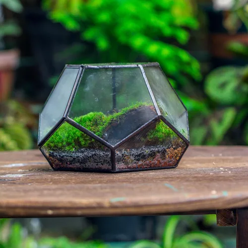 Vista 9 de NCYP Terrario geométrico de vidrio pequeño con puerta, 7.1 x 7.1 x 4.7 pulgadas, maceta cerrada con pentágono negro para suculentas, plantas