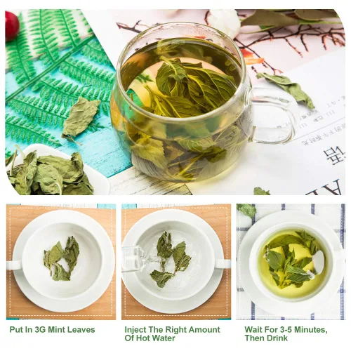 Vista 6 de Plant Gift Té 100% menta, té de menta, hojas de menta, té saludable, bolsas de té de menta orgánica, flor saludable, té de menta 0.7 onzas
