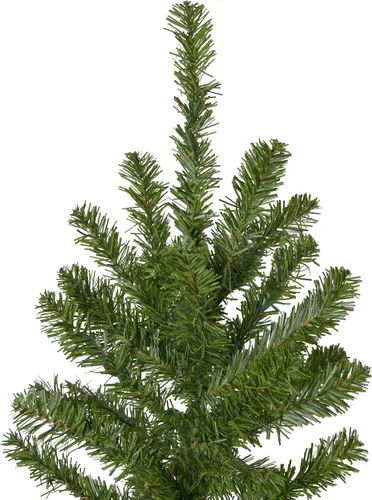 Vista 3 de Canadian Pine Artificial Pencil Christmas Tree - 7.5' - Unlit