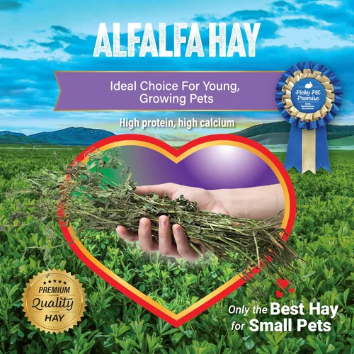 Vista 5 de Small Pet Select Alimento para mascotas con heno de alfalfa, 2 lb.