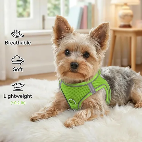 Vista 79 de Joytale Arnés para Perros Pequeños, Chaleco de Malla Transpirable Step-in, Arneses Acolchados Suaves Reflectantes para Gatos y Perros Cachorros