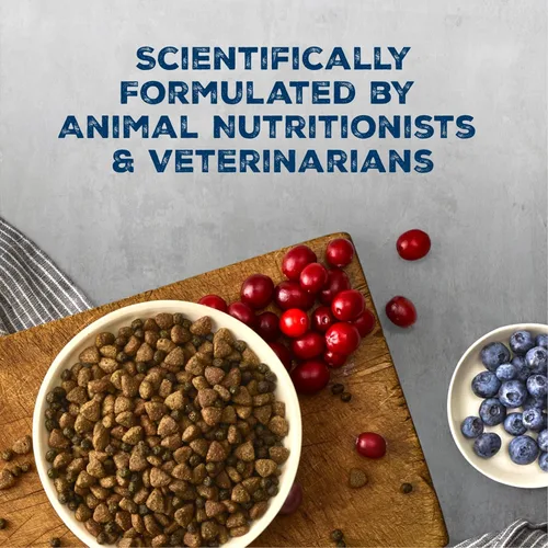Vista 5 de Blue Buffalo Wilderness - Alimento seco natural con alto contenido proteínico y cereales saludables para perros adultos, pollo, bolsa de 4.5 libras