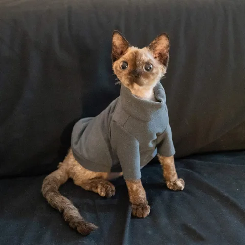 Vista 4 de Ropa de gatos sin pelo, camiseta de algodón, chaleco transpirable para primavera y otoño, ropa de gato con cuello alto para Sphynx, Cornish Rex, Gris