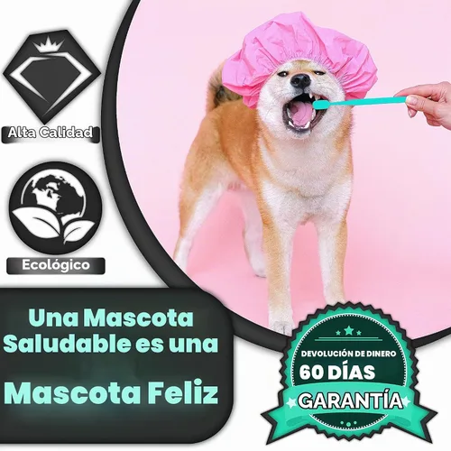 Vista 4 de H&H Pets Cepillo de dientes para perros pequeños y gatos – Cepillo de dientes suave y extra pequeño diseñado para gatos, cachorros y perros de raza