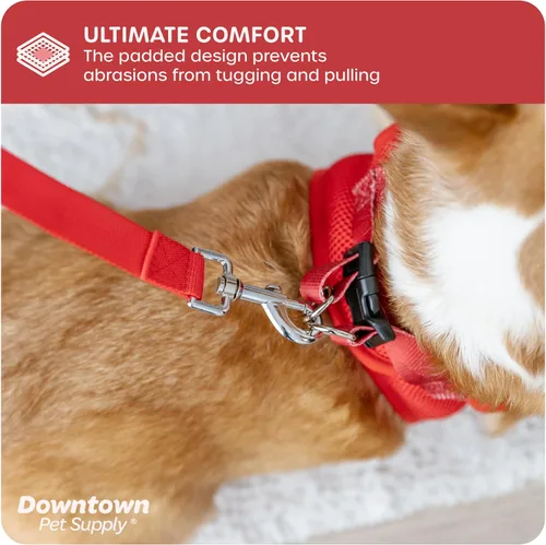 Vista 33 de Downtown Pet Supply Arnés para perro Step-in – Sin tirones, malla acolchada ajustable con ribete reflectante, correa de hebilla segura – Arnés
