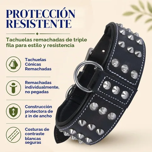 Vista 4 de Collar de perro con tachuelas de cuero genuino Remache de brasero Collar de perro de 2 pulgadas de ancho Grado de sillín, resistente Negro