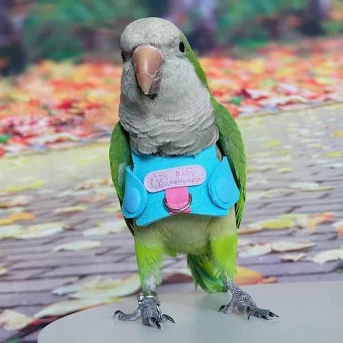Vista 3 de Chaleco de arnés de vuelo de pájaro, traje de vuelo de loro con correa para periquitos, cacatúas, conures budgies, ropa de vuelo de pájaros