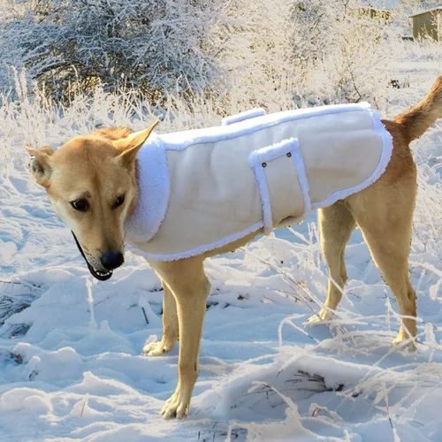 Vista 7 de Chaquetas para Perros de Piel de Oveja de CT Tienda de descuento., M, Blanco