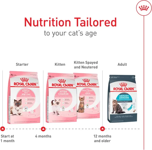 Vista 6 de Royal Canin Feline Health Nutrition Mother & Babycat Queen - Alimento seco para gatos, bolsa de 3 libras