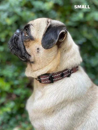 Vista 8 de Tuff Pupper Collar de perro resistente con asa Collar de nailon balístico resistente Collar de perro reflectante acolchado con hardware
