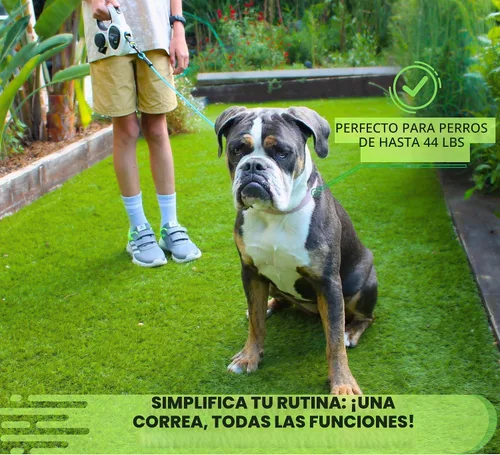 Vista 3 de Snuggle Paws - Correa retráctil todo en uno para perros pequeños