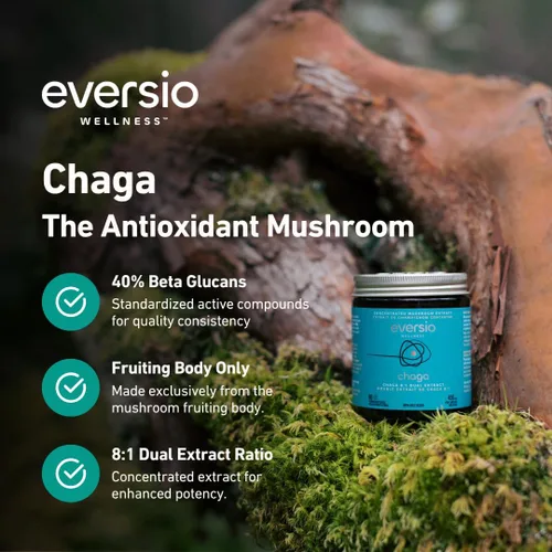 Vista 4 de PROTECT NOW Suplemento orgánico de hongos Chaga – Extracto DUAL 8:1 en 60 cápsulas veganas (450 mg) 60 porciones – Chaga orgánica cosechada