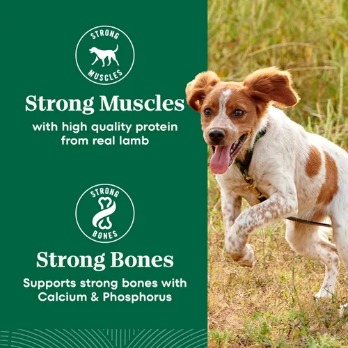 Vista 9 de Nutro Natural Choice Small Bites - Alimento seco para perros, pollo y arroz, 30 libras