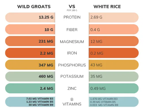 Vista 2 de WILD GROATS Trigo sarraceno crudo orgánico, cultivado en Estados Unidos, semillas germinables, 16 onzas, sin gluten, sin cáscara, proteína completa