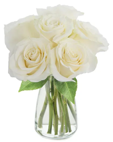 Vista 62 de KaBloom - Rosas arcoíris (media docena)- Flores frescas para cumpleaños, San Valentín y Día de la Madre