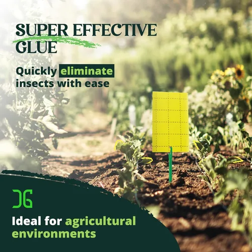 Vista 3 de Catchmaster GRO - Trampas adhesivas regulares de doble cara amarillas, paquete de 36 unidades, trampa adhesiva para insectos y moscas de la fruta