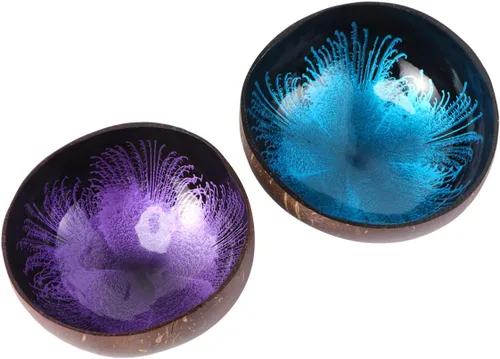 Vista 10 de KESYOO Cuenco de cáscara de coco natural, contenedor decorativo para dulces, frutos secos, cuenco de almacenamiento con patrón único para la entrada