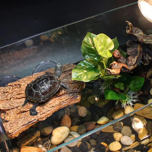 Vista 2 de BigTron Plataforma flotante de tortuga – Decoración de corteza artificial, ideal para acuarios, tanques de peces de terraza, 3 ventosas incluidas
